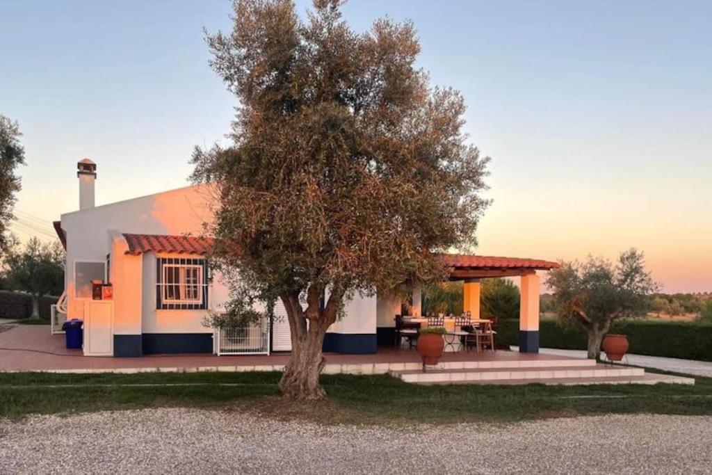Casa Das Oliveiras Aviz Buitenkant foto