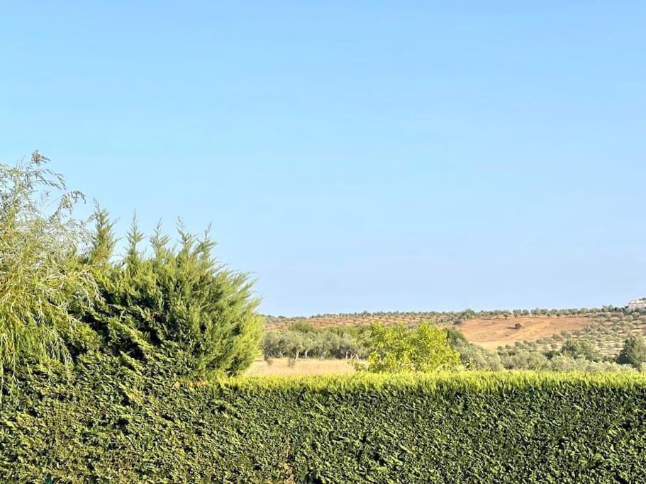 Casa Das Oliveiras Aviz Buitenkant foto
