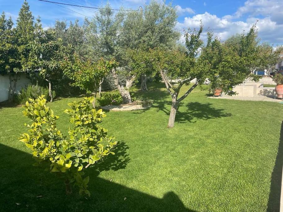Casa Das Oliveiras Aviz Buitenkant foto