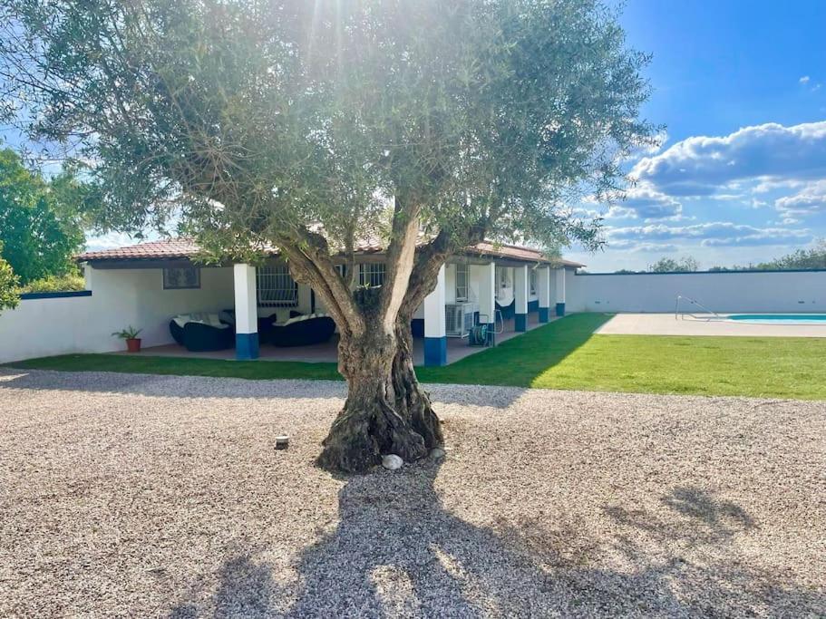 Casa Das Oliveiras Aviz Buitenkant foto