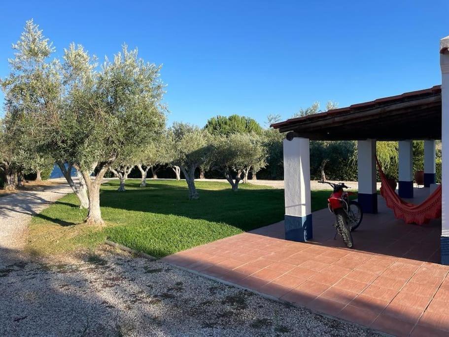 Casa Das Oliveiras Aviz Buitenkant foto