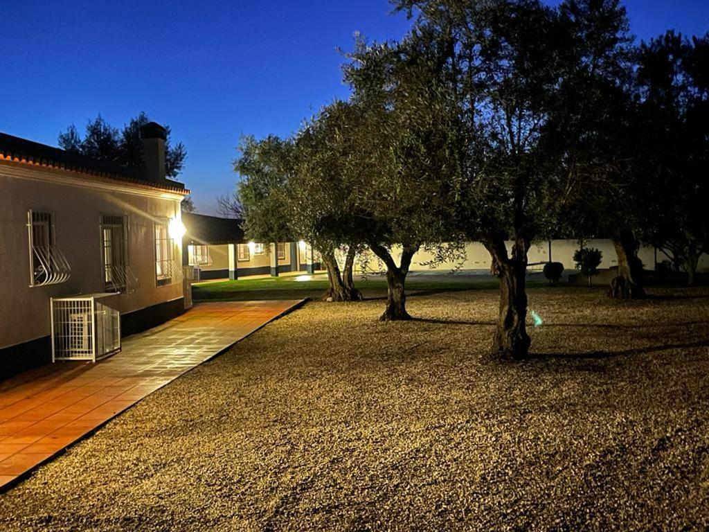Casa Das Oliveiras Aviz Buitenkant foto