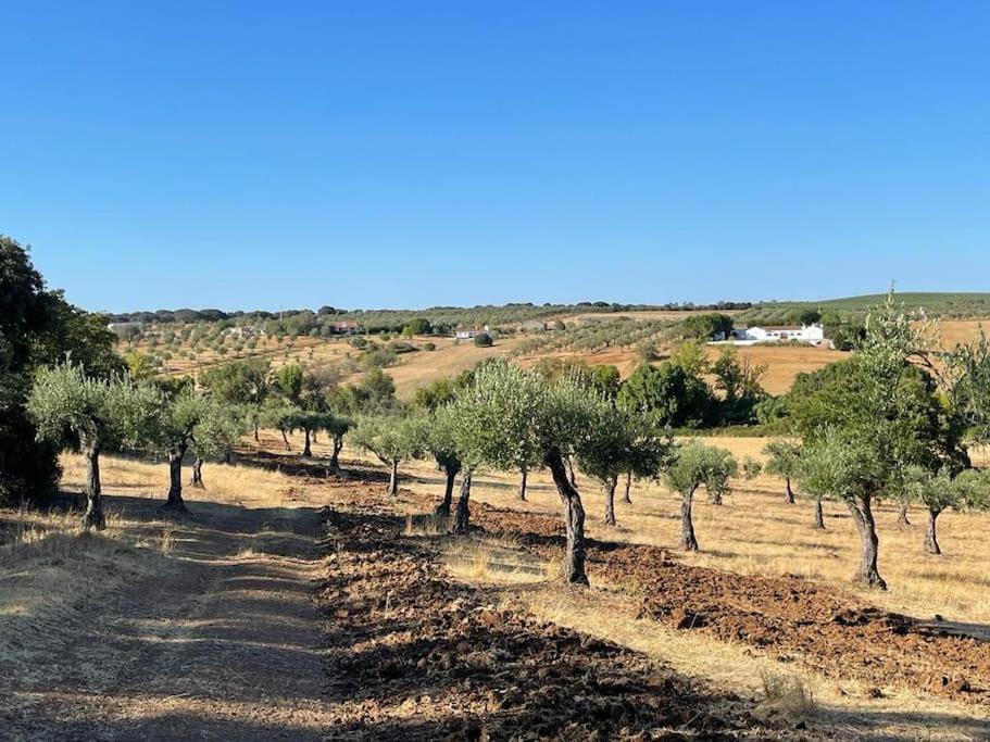 Casa Das Oliveiras Aviz Buitenkant foto